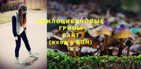 молекула духа Баксан